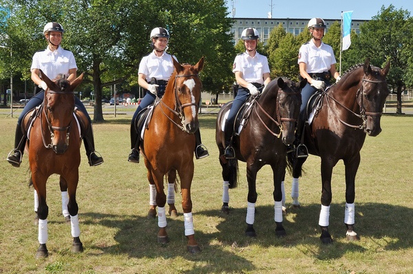 Polizeidirektion   155.jpg